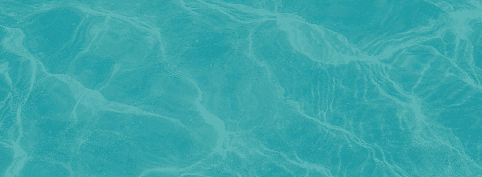 unsere (1600 x 400 px) (1600 x 600 px) (4)