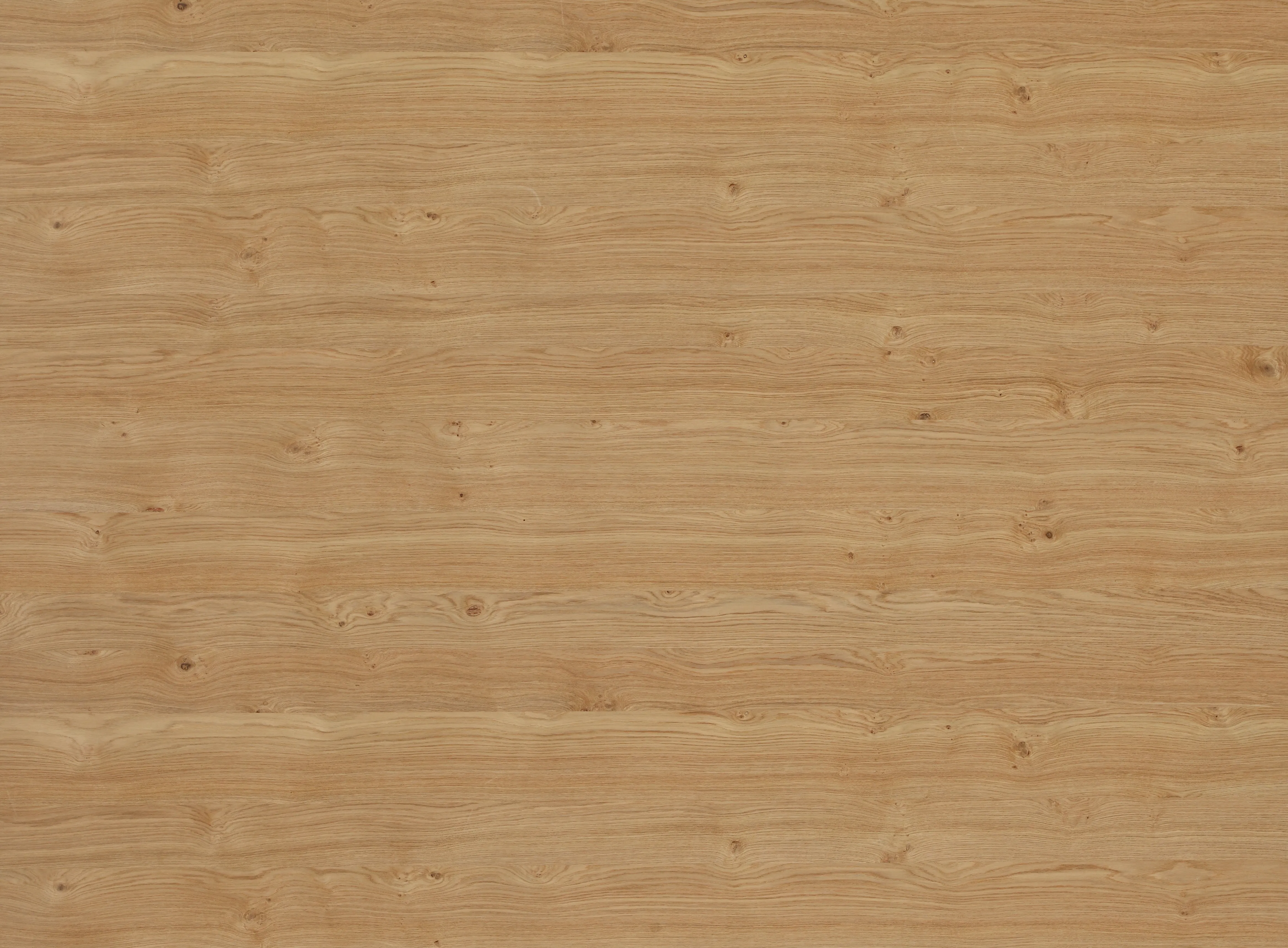 Euroflex Furnierdeck euro. Eiche 0,65mm