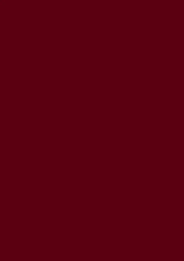 Schichtstoff U311 ST9