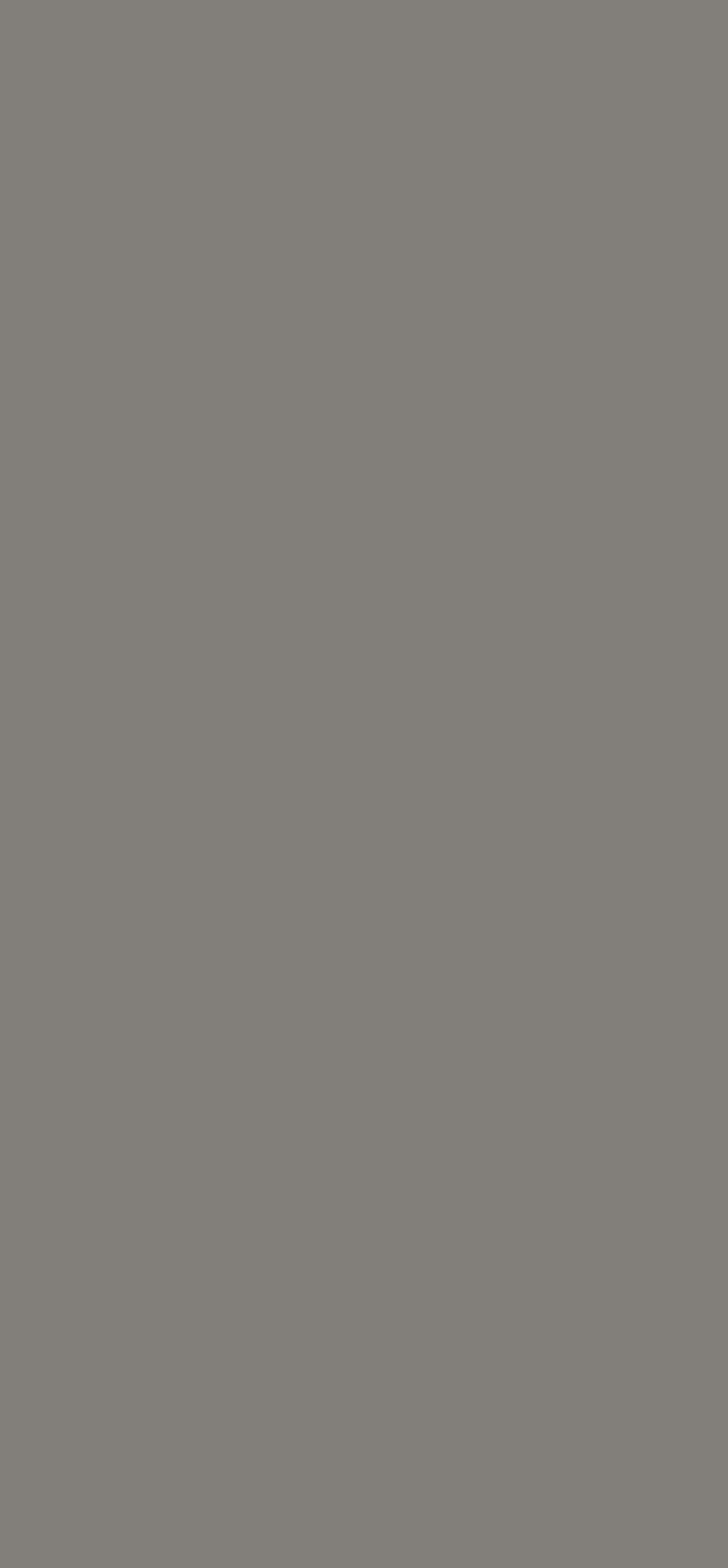 Technisches Datenblatt.pdf