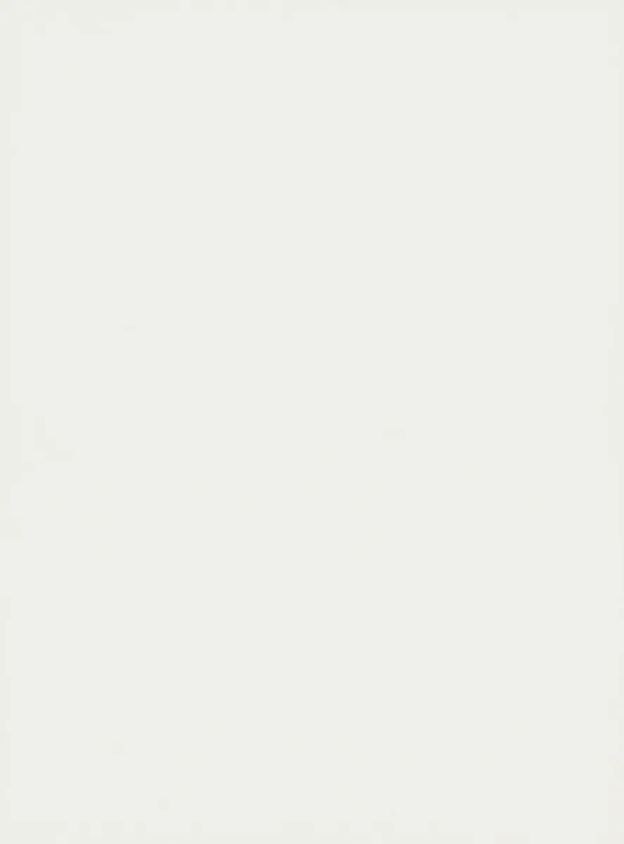 Technisches Datenblatt.pdf