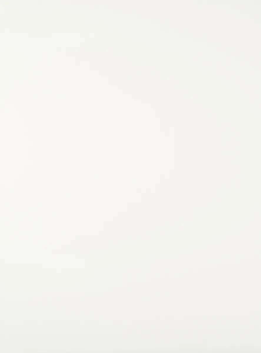 Technisches Datenblatt.pdf