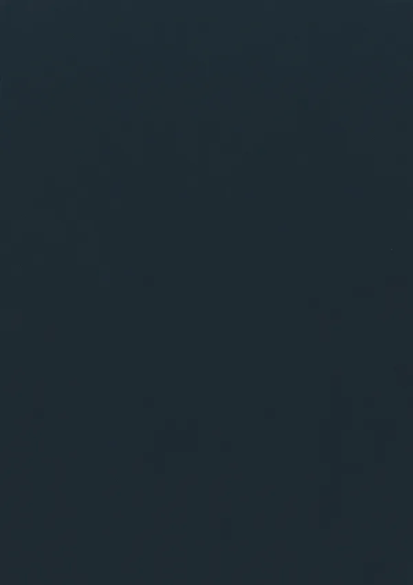 Technisches Datenblatt.pdf