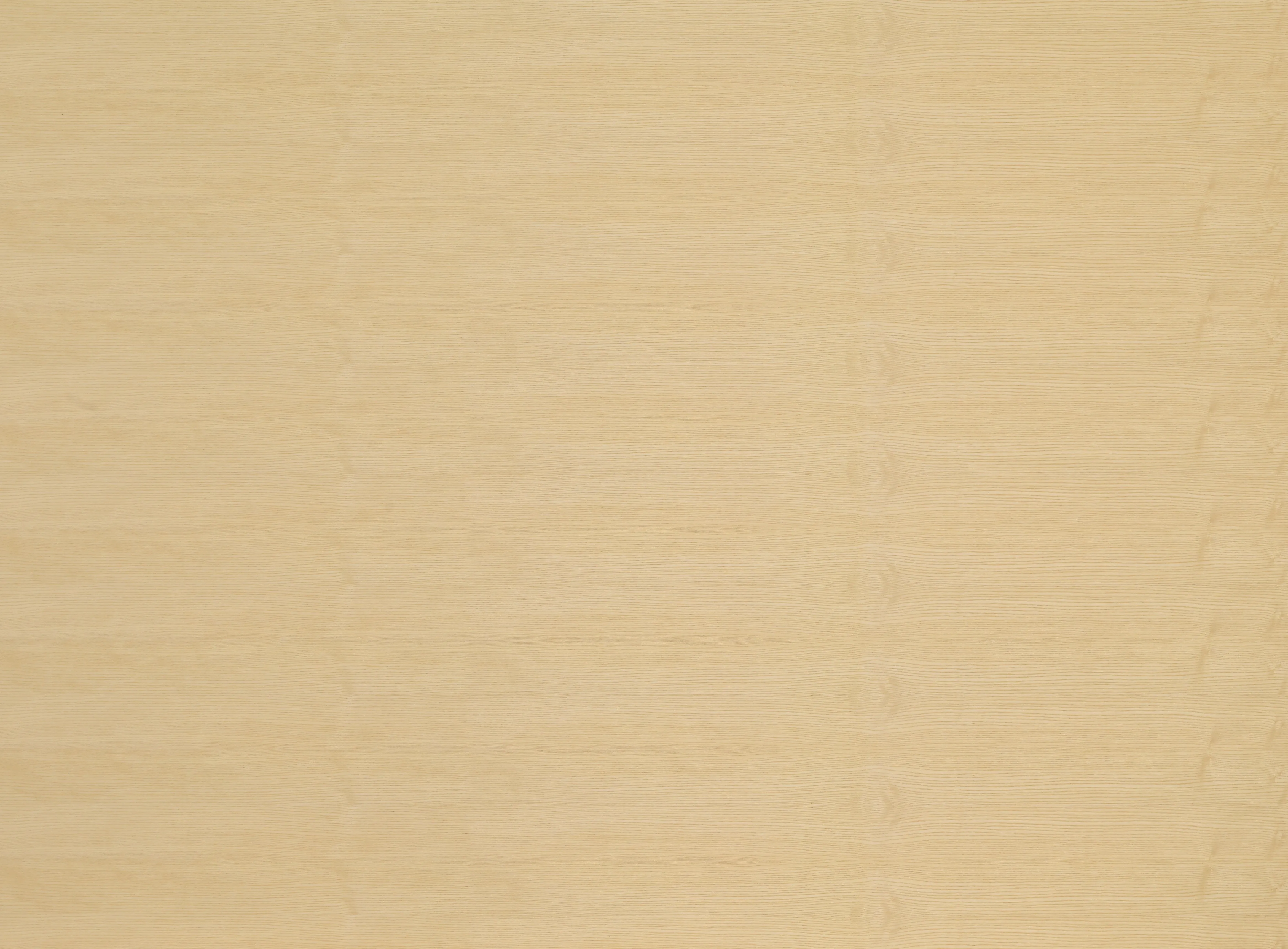 Euroflex Furnierdeck Esche 0,65mm