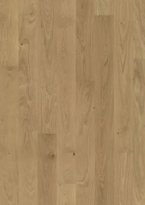 \\172.21.173.6\AllgeierShop\Dokumente_Onlineshop\Tymbrr jpg\Tymbrr Eiche Arvid ML_131258200.jpg