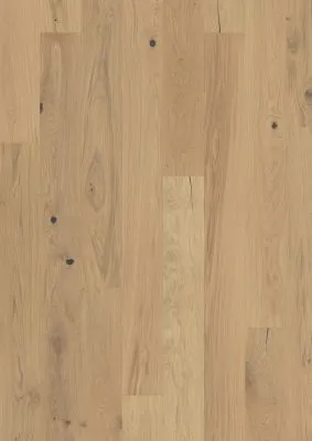 \\172.21.173.6\AllgeierShop\Dokumente_Onlineshop\Tymbrr jpg\Tymbrr Eiche Thorra_131265240.jpg