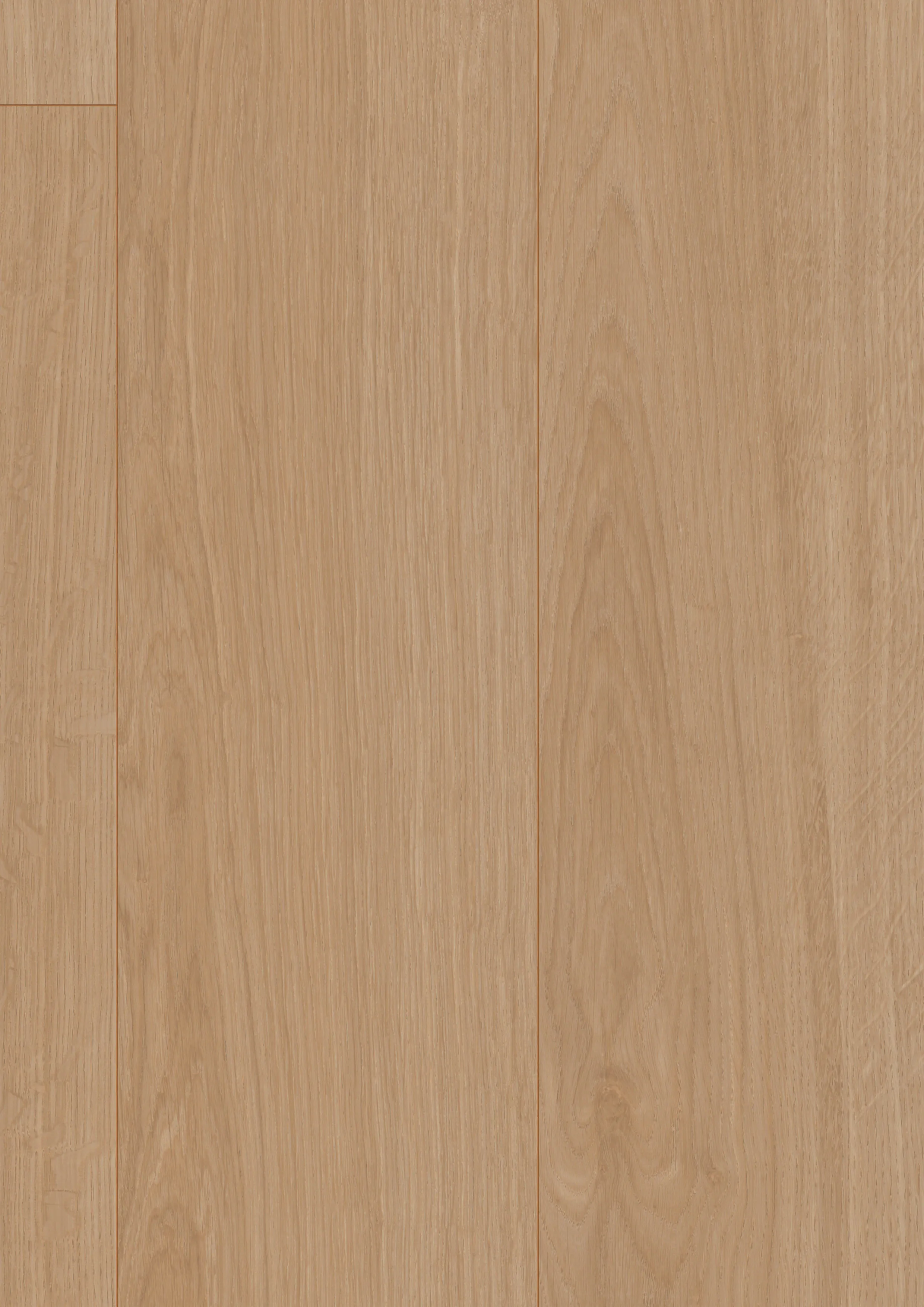 \\172.21.173.6\AllgeierShop\Dokumente_Onlineshop\Kiwi by SwissKrono\30KN04_1380_193_V4\30KN04_1380_193_V4 - Area_frontal_close_sRGB.jpg