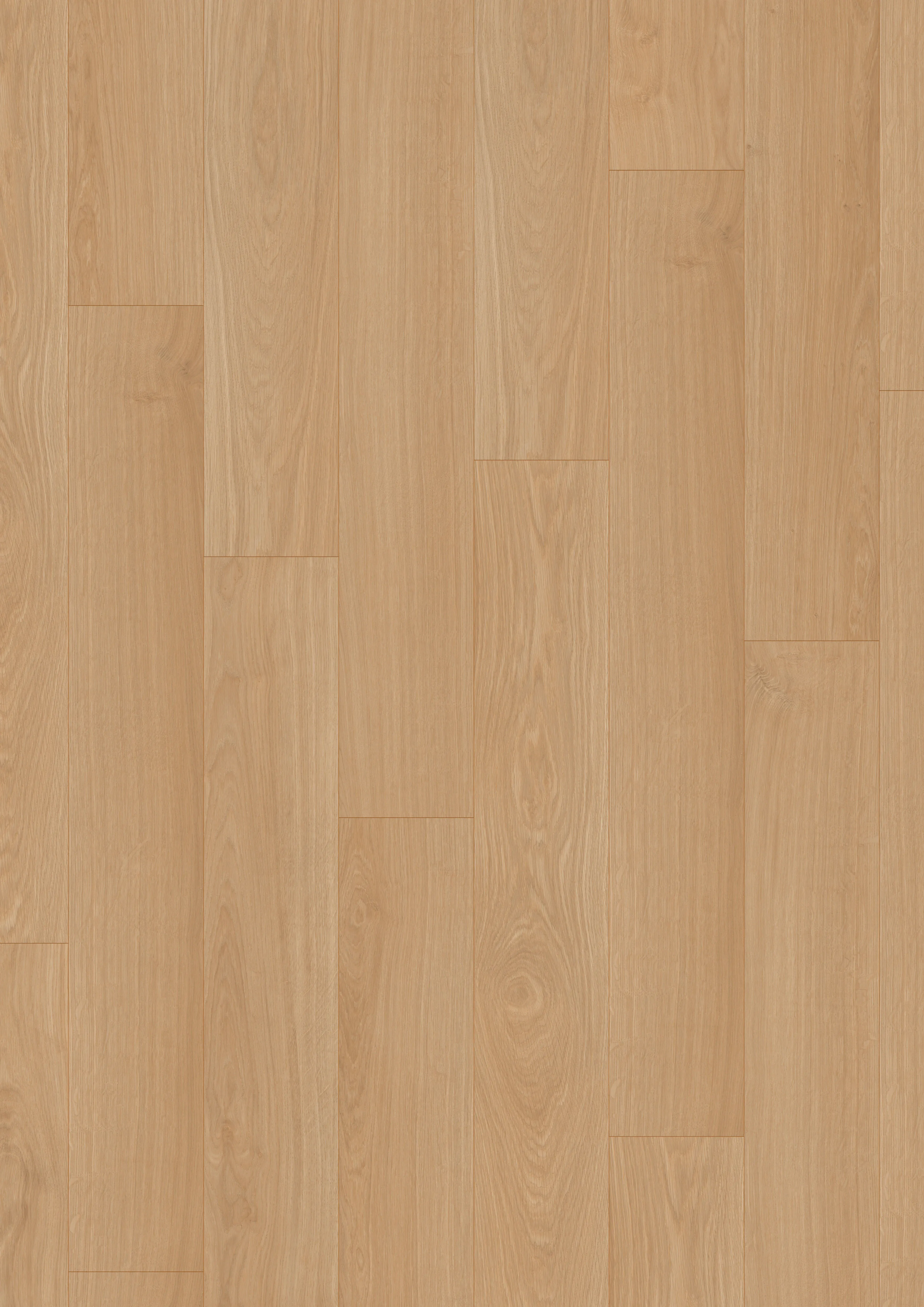 Laminat KIWI now 8.0 + 1mm