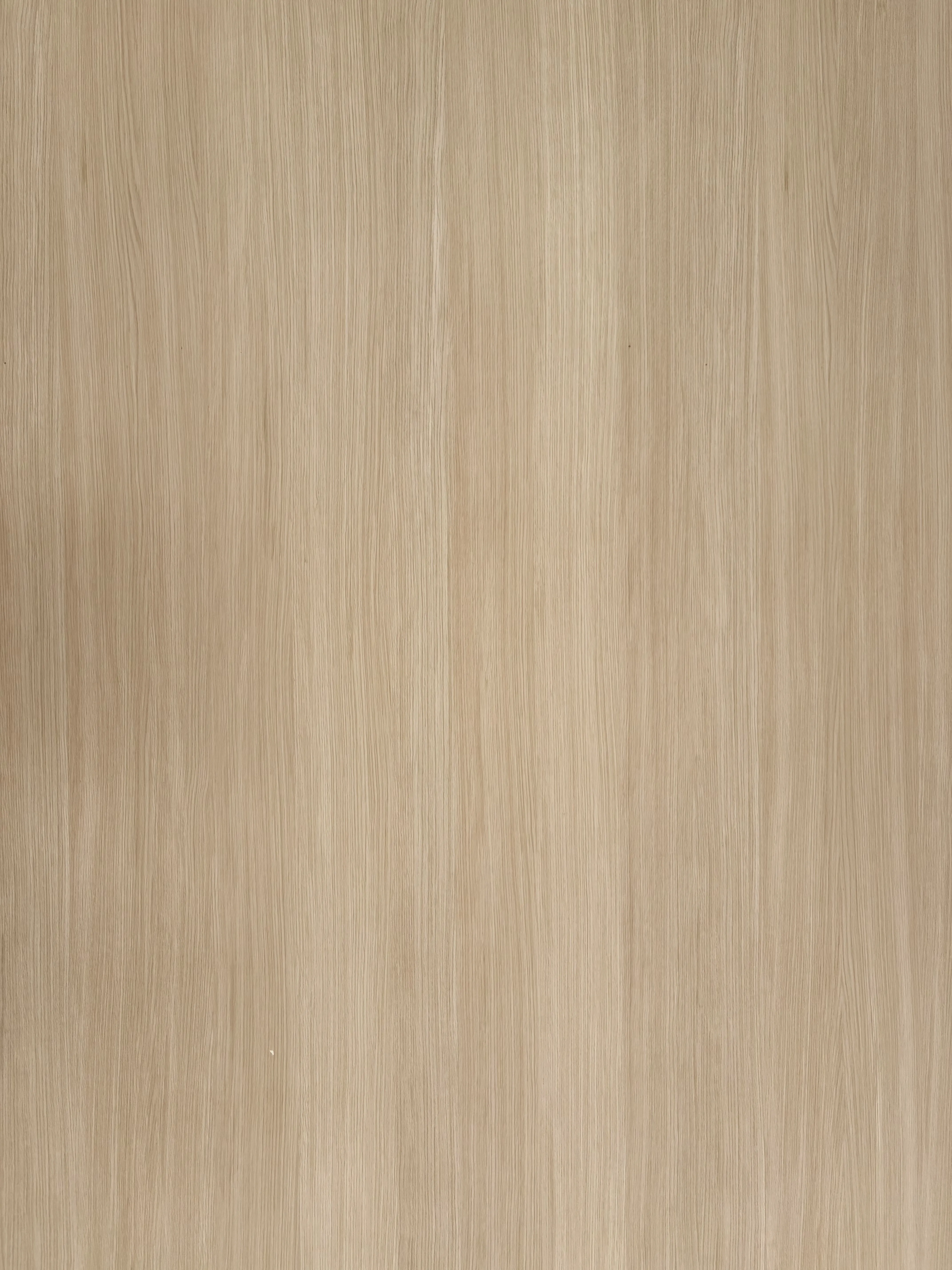 16mm Span-Platte furniert euro. Eiche